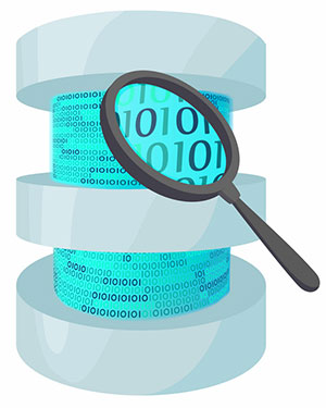 از آخرین نسخه MySQL یا MariaDB استفاده کنید