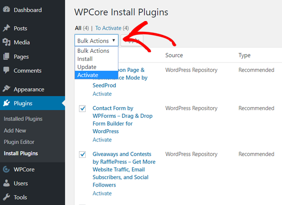 افزونه ها را به صورت یکجا با WPCore فعال کنید