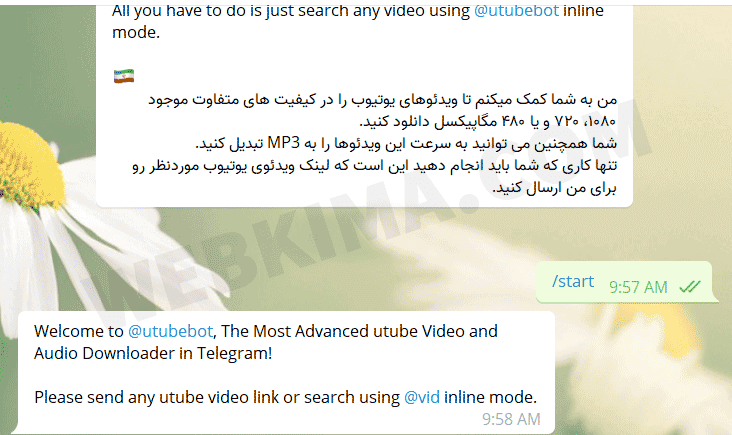 دانلود ویدیو از یوتیوب با ربات تلگرام
