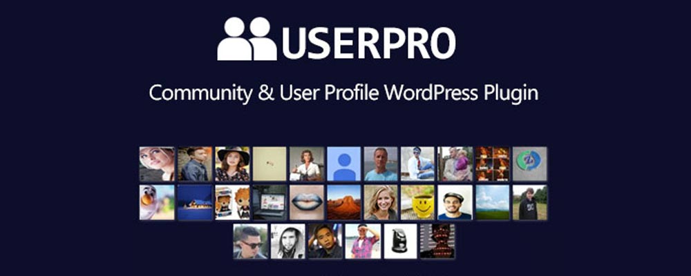 افزونه UserPro یکی از بهترین افزونههای ساخت پنل کاربری در وردپرس