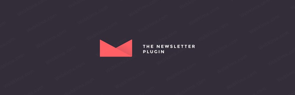 افزونه ایمیل مارکتینگ Newsletter