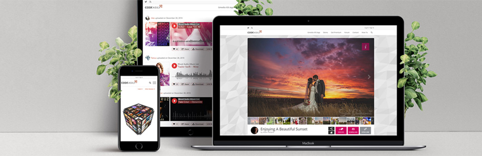 افزونه Gmedia Photo Gallery