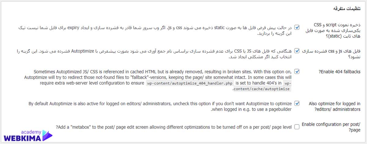 تنظیمات متفرقه در پلاگین Autoptimize