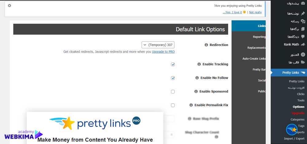 بخش options در افزونه Pretty Links