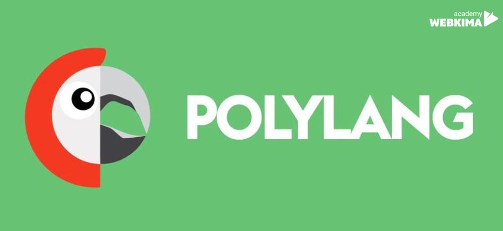 افزونه ترجمه سایت وردپرسی Polylang