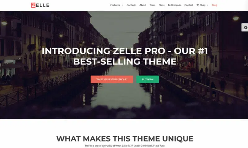  Zelle PRO سازگار با صفحه ساز المنتور