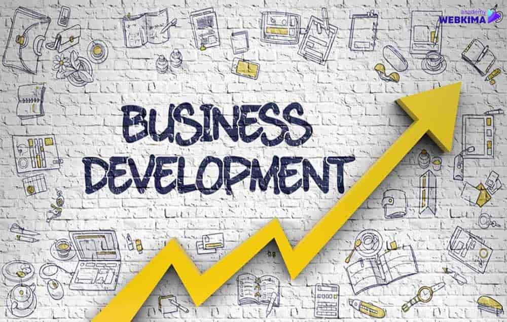 توسعه پذیری در سیستم سازی کسب و کار