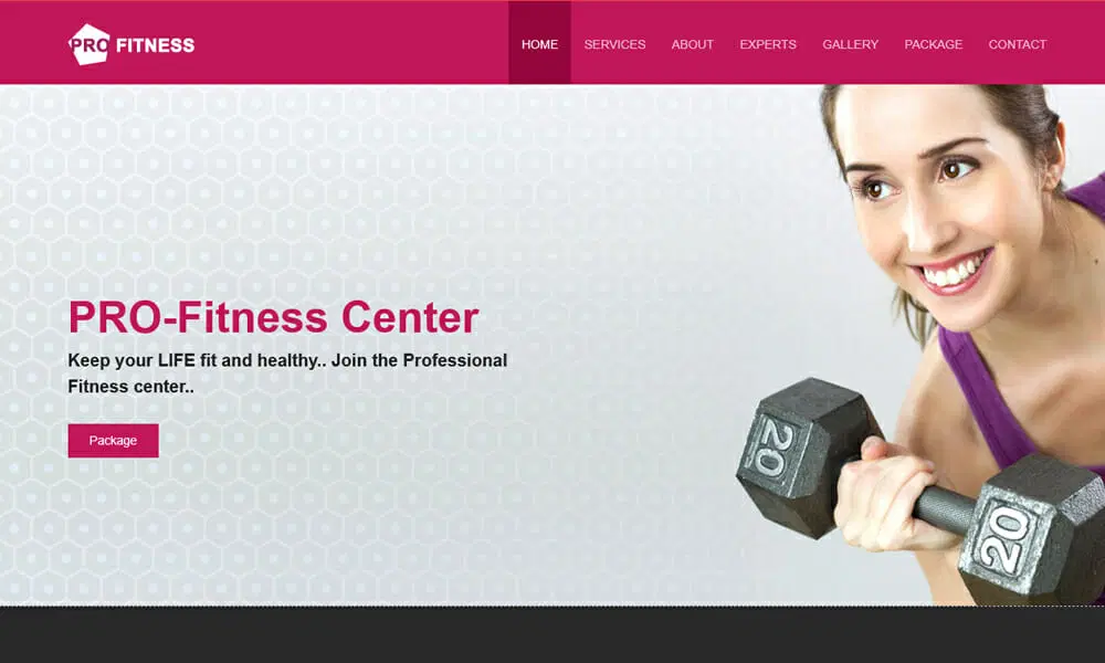 قالب رایگان Pro Fitness Center