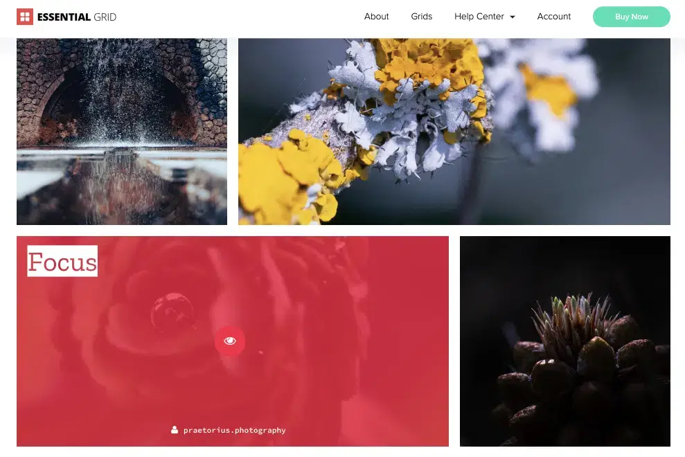 افزونه Essential Grid Gallery