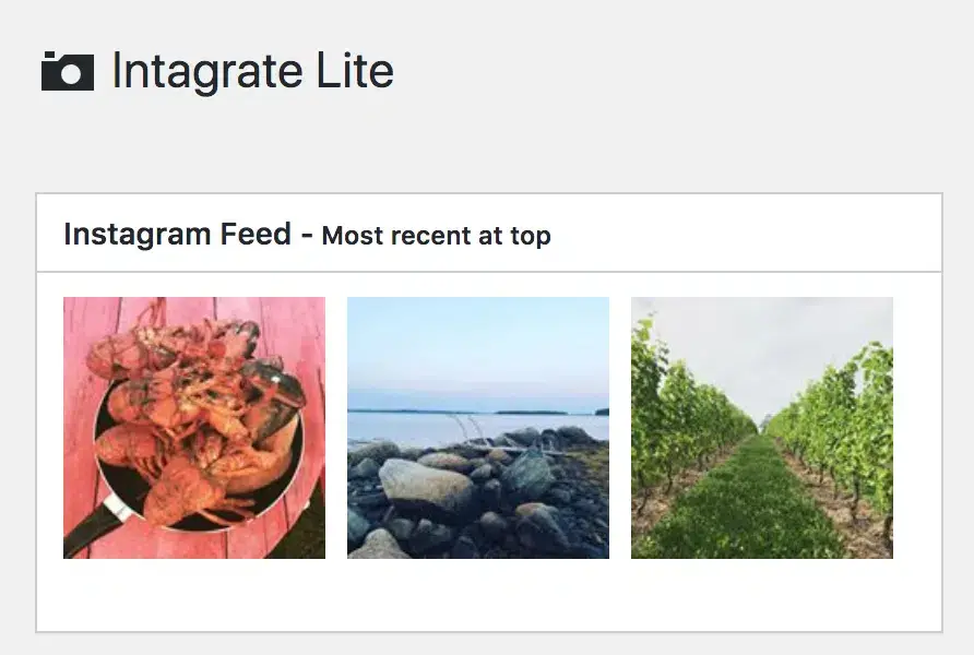 افزونه اینستاگرام Intagrate Lite