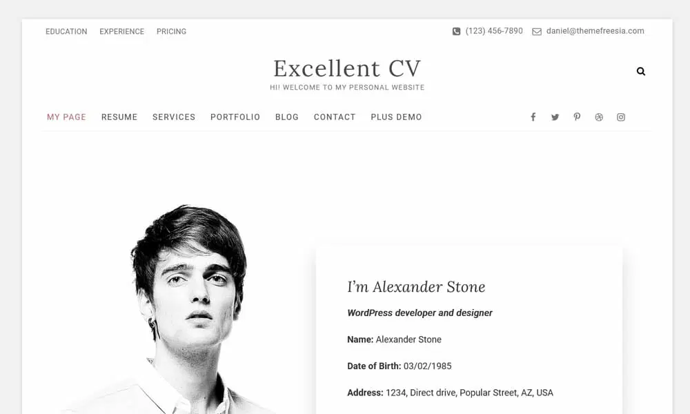 قالب رزومه وردپرس Excellent CV
