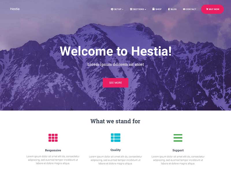 قالب گوتنبرگ وردپرس HESTIA