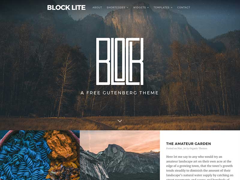 قالب وردپرس BLOCK LITELITE