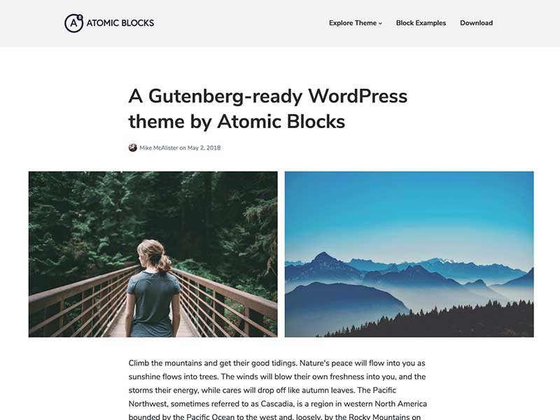 قالب وردپرس ATOMIC BLOCKS