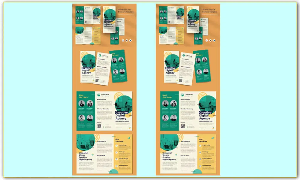 Trifold Brochure